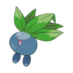 走路草