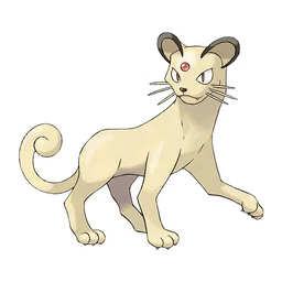 猫老大