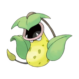 大食花