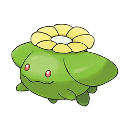 毽子花