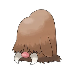 长毛猪