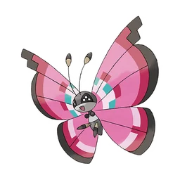 彩粉蝶