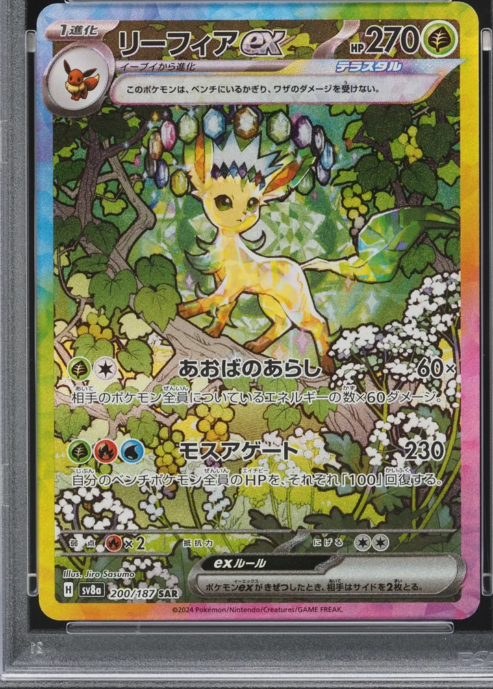 叶伊布 ex