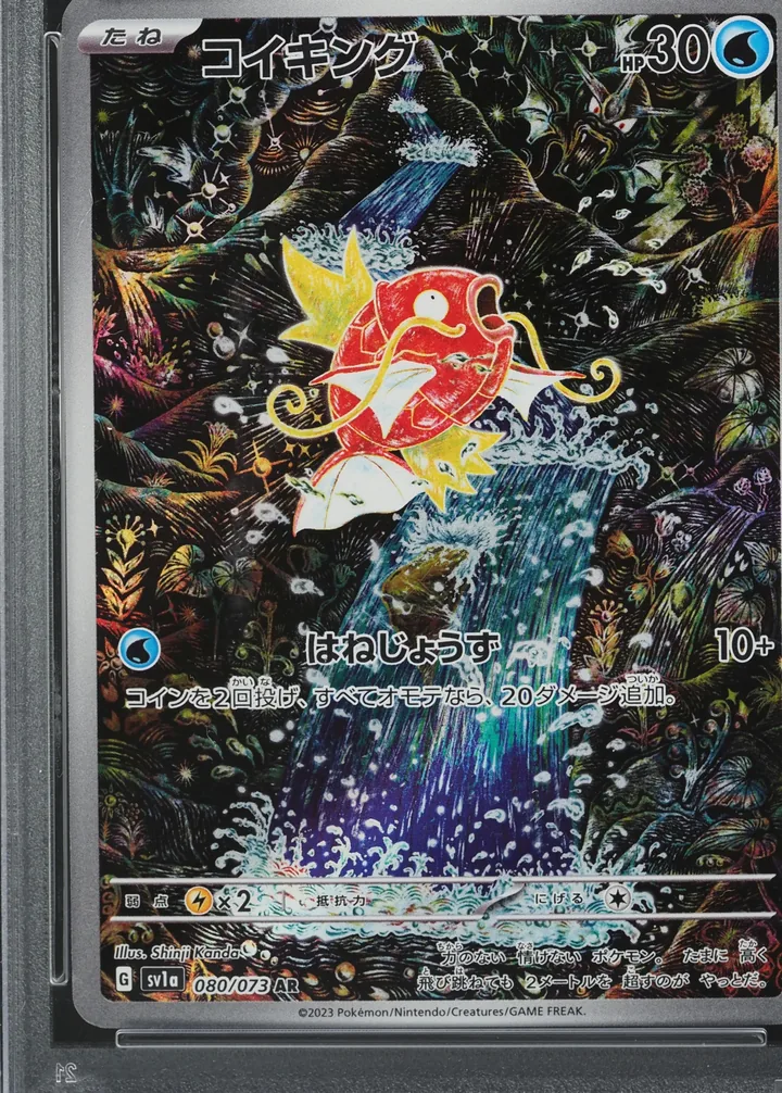 鲤鱼王