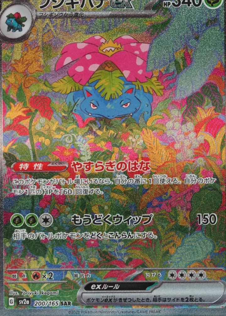 妙蛙花 ex